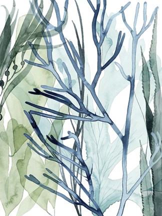 Framed Sea Leaves II Print