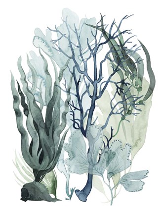 Framed Sea Leaves IV Print