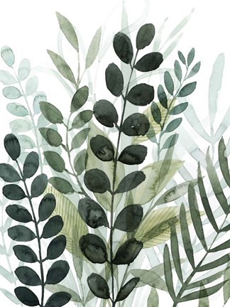 Framed Forest Forage II Print