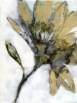 Framed Flower Alloy I Print