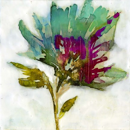 Framed Fuchsia Splash I Print