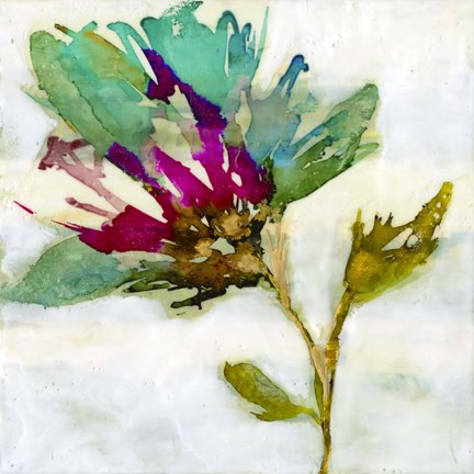 Framed Fuchsia Splash II Print