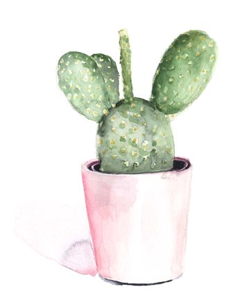 Framed Sharp Succulents III Print