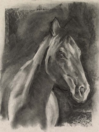 Framed Charcoal Horse Study on Grey I Print