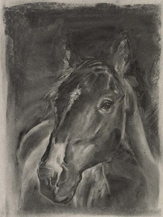 Framed Charcoal Horse Study on Grey II Print