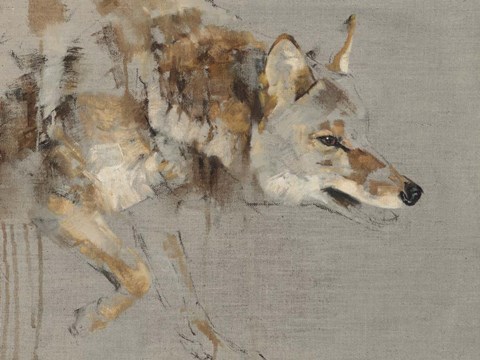 Framed Drifter Print