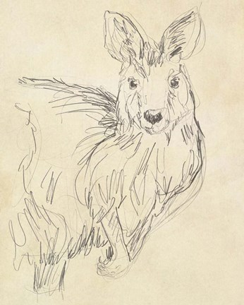 Framed Outback Sketch III Print