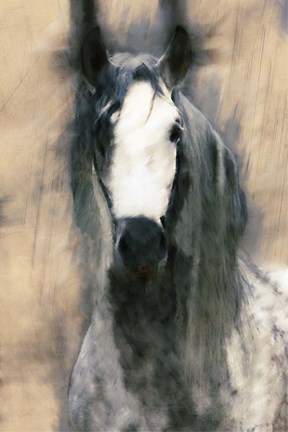 Framed Blended Horse II Print
