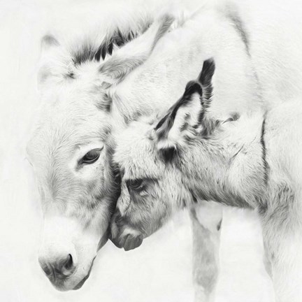 Framed Donkey Portrait III Print