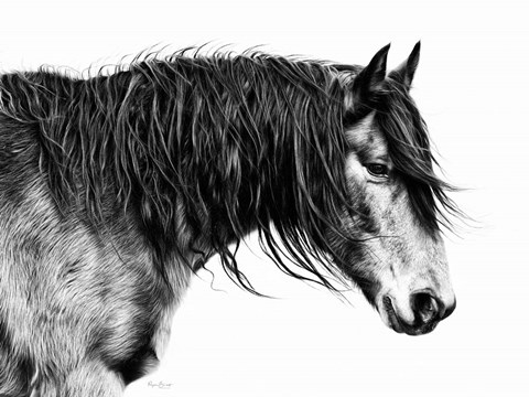 Framed Black and White Horse Portrait III Print