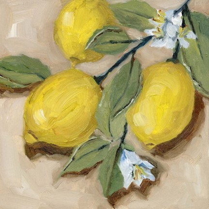 Framed With the Sun II Print