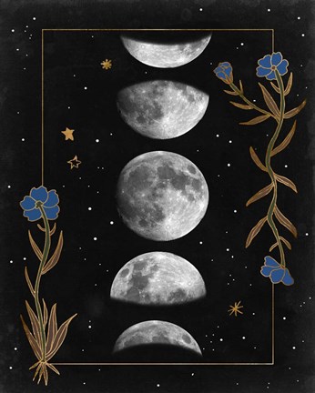 Framed Night Moon II Print