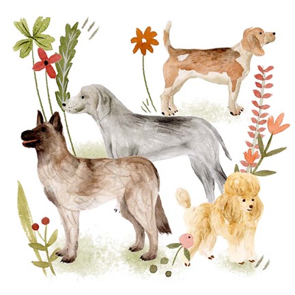 Framed Little Walk V Print