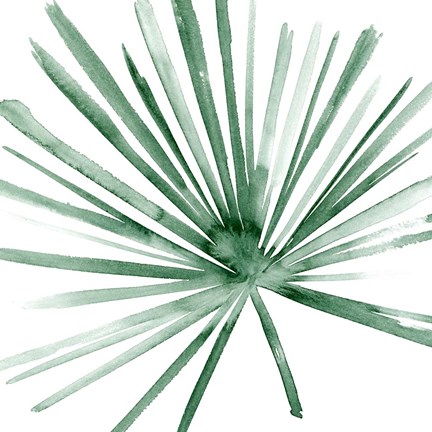 Framed Palm II Print