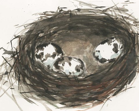 Framed Nesting Eggs II Print