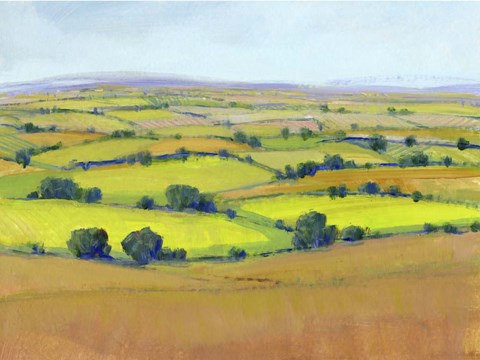 Framed Patchwork Vista II Print