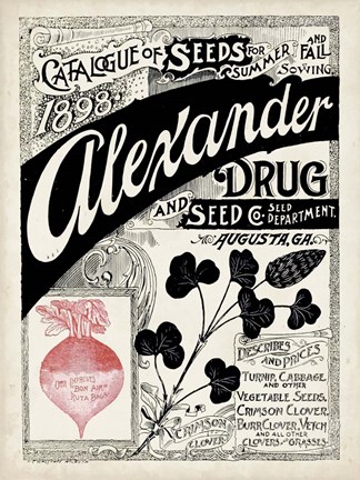 Framed Antique Seed Packets XIV Print