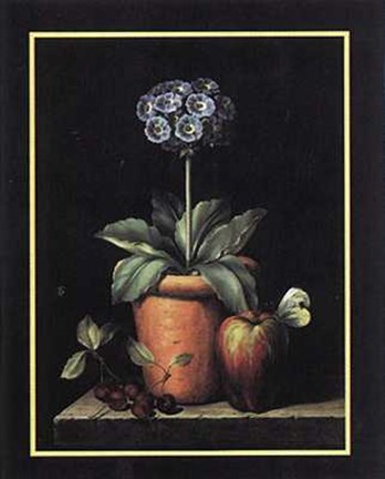 Framed Blue Auricula and Fruit Print