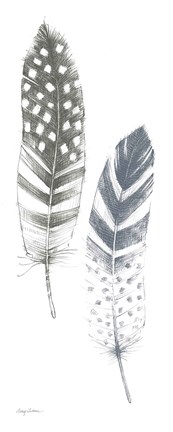 Framed Feather Sketches VIII Blue Gray Print