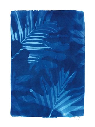 Framed Cyanotype Tropical IV Print