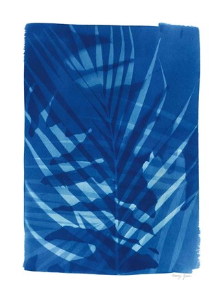 Framed Cyanotype Tropical I Print
