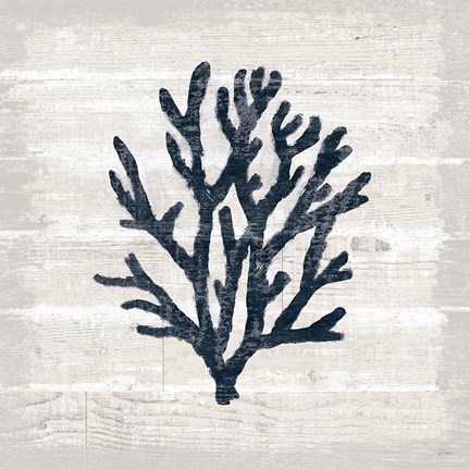 Framed Driftwood Coast VII Blue Print