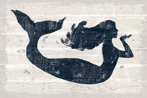 Framed Driftwood Coast IX Blue Print