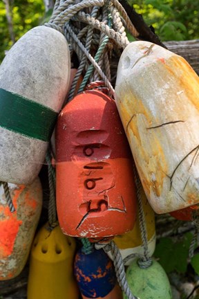 Framed Boat Bumpers II Print