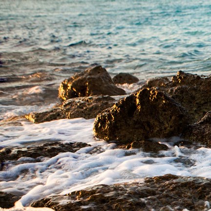 Framed On the Rocks I Print
