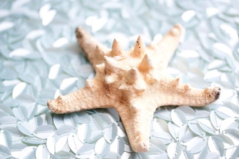 Framed Shimmer Shells II Print