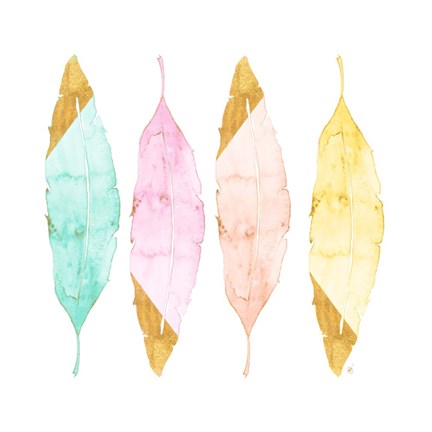 Framed Four Feathers Print