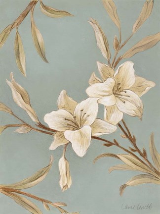 Framed Serene Beauty II Print