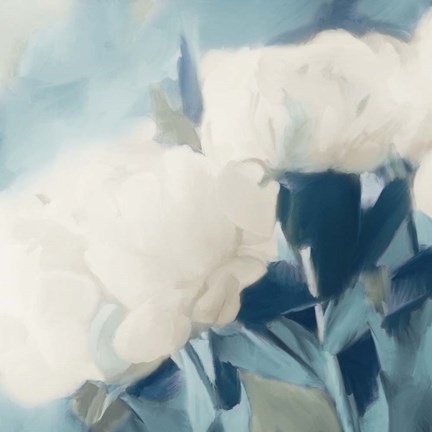 Framed White Roses II Print