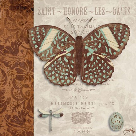 Framed Butterfly on Display I Print