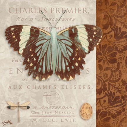 Framed Butterfly on Display II Print
