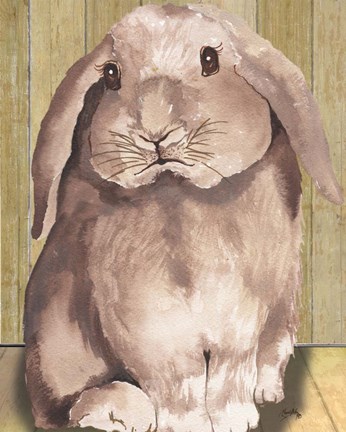 Framed Bunny II Print