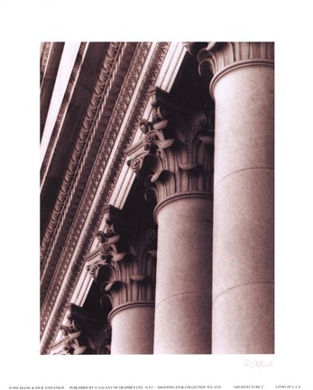 Framed Architecture I Print