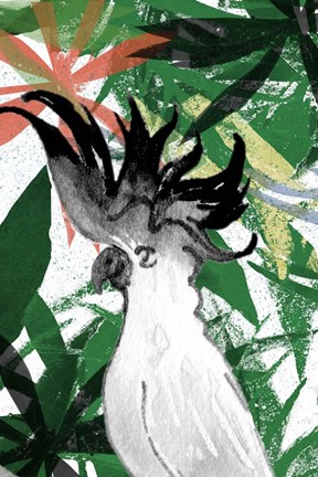 Framed Hidden Cockatoo Print