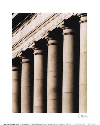 Framed Architecture II Print