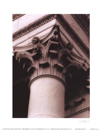 Framed Architecture IV Print