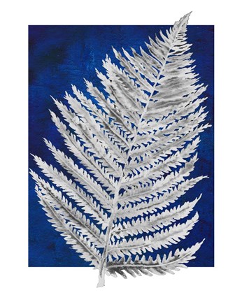 Framed Blue Fern in White Border II Print