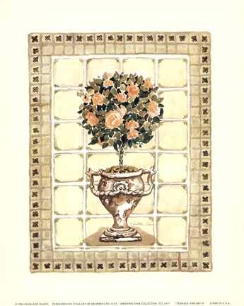 Framed Terrace Topiary II Print