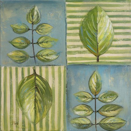 Framed Natura II Print