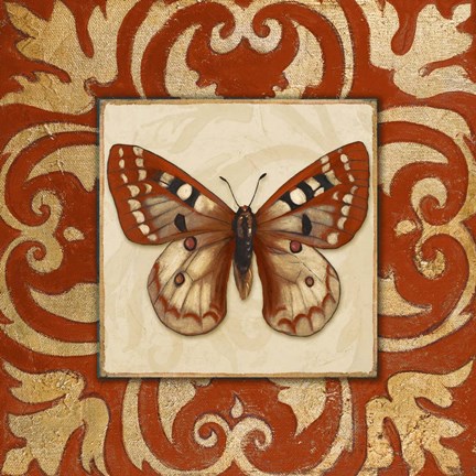 Framed Moroccan Butterfly I Print