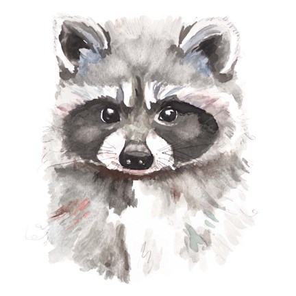 Framed Baby Raccoon Print