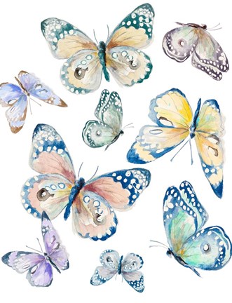 Framed Colorful Isolated Butterflies Print