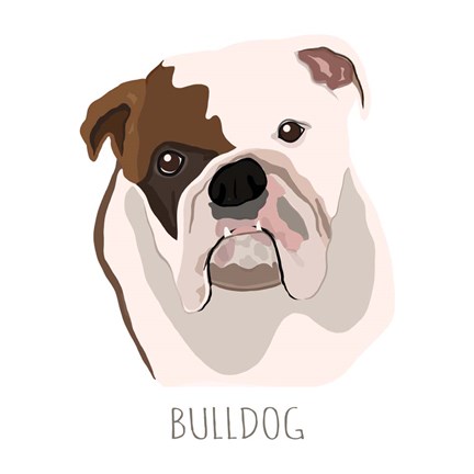 Framed Bull Dog Print