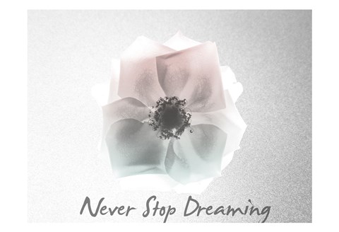 Framed Never Stop Dreaming Rose Print