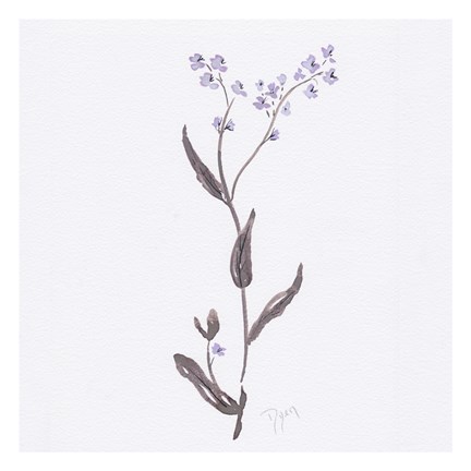 Framed Lavender Wildflowers I Print