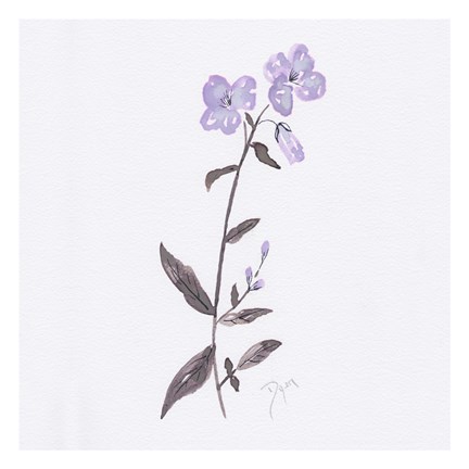 Framed Lavender Wildflowers II Print
